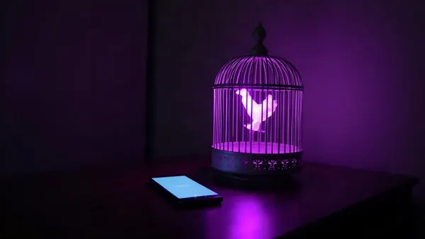 Offener Vogelkäfig, aus dem violettes Licht strömt, neben einem Smartphone (Illustration zum Artikel)